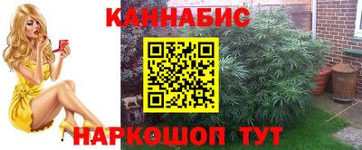 apvp Камышлов